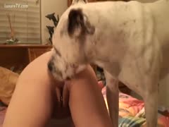 The concupiscent white mutt